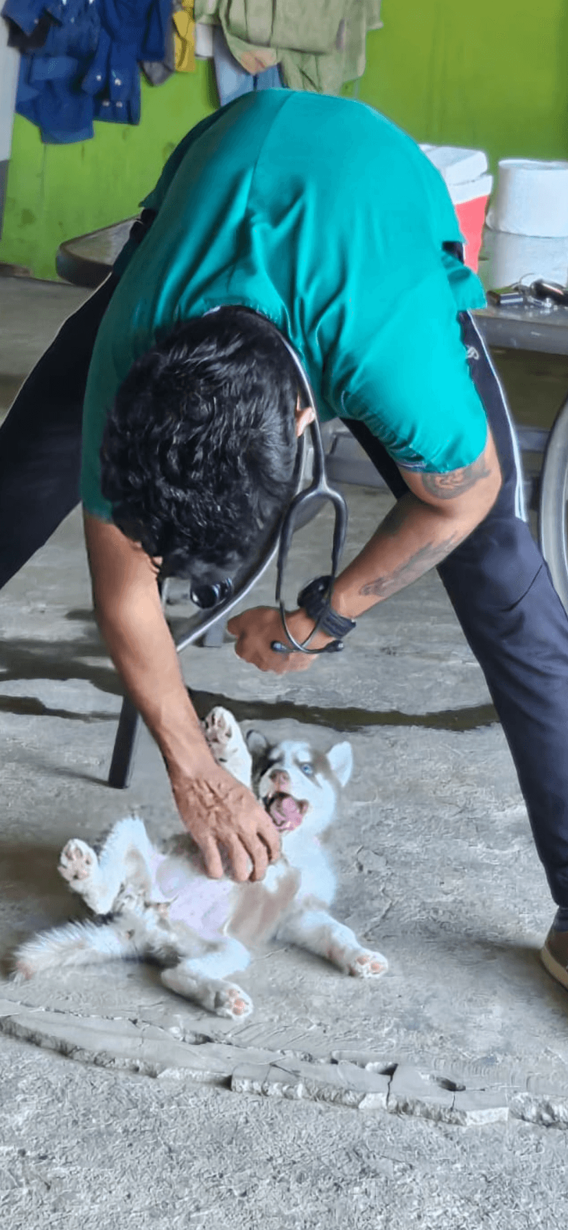 Horizon Veterinary Services Team